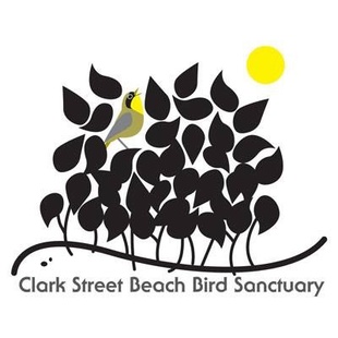 Clark Street Bird Sanctuary logo